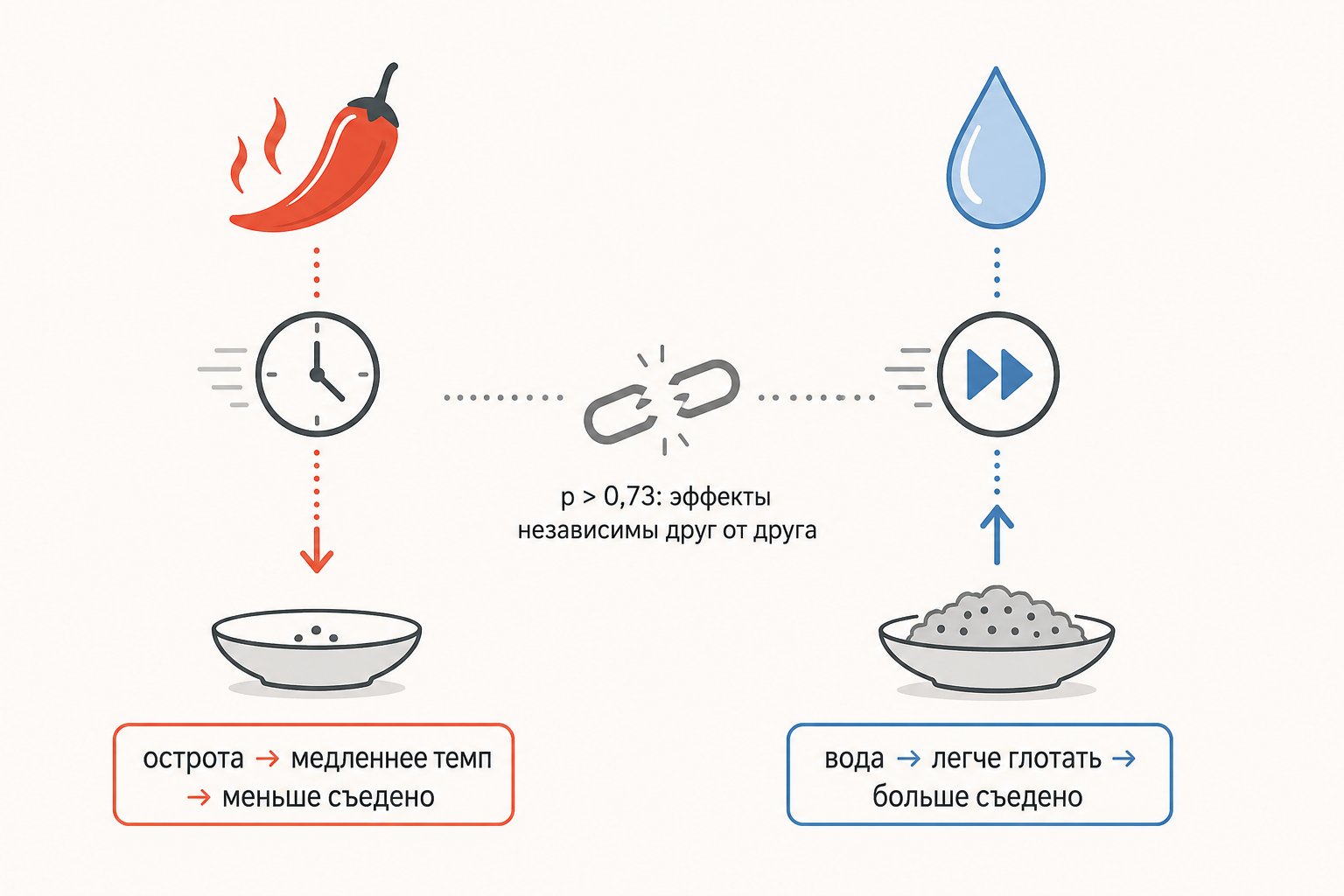 два независимых механизма — острота замедляет темп еды, вода ускоряет проглатывание, они не отменяют друг друга